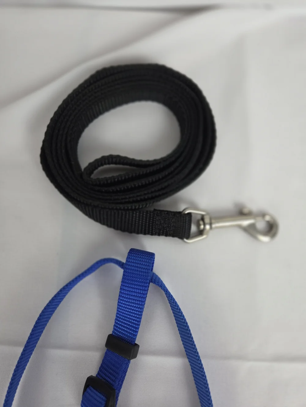 Blue Adjustable Dog Harness and Leash Set